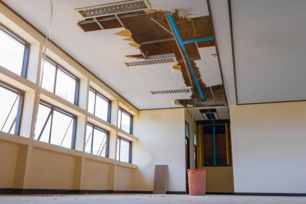 Best Water damage restoration experts  in Dobbs Ferry, NY