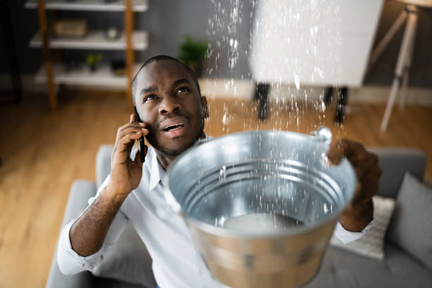 Best Water damage contractors near me  in Dobbs Ferry, NY
