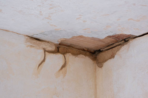 Best 24/7 water damage repair  in Dobbs Ferry, NY