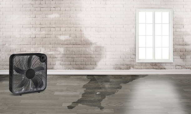 Best Residential water damage restoration  in Dobbs Ferry, NY