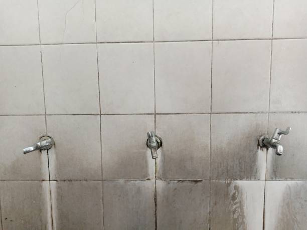 Best Water damage cleanup near me  in Dobbs Ferry, NY