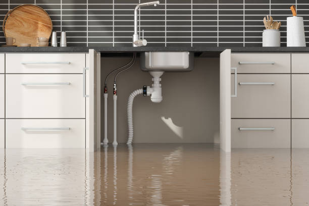 Best Mold removal after water damage  in Dobbs Ferry, NY