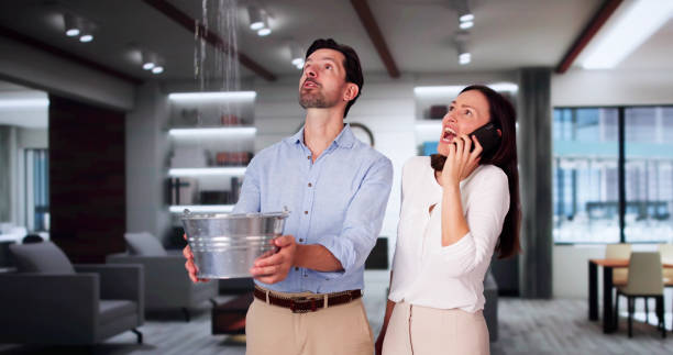 Best Mold removal after water damage  in Dobbs Ferry, NY